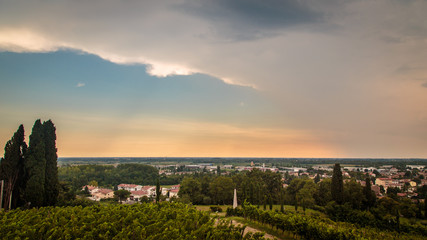 Storm over the vineyard