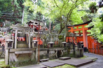 Fototapeta na wymiar Kyoto - Japan