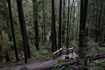 Quarry Rock Trail