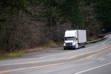 Fototapeta na wymiar Big rig semi truck with reefer semi trailer stand out of road on the sidelines in green forest