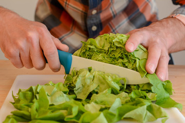 Up close cutting lettuce