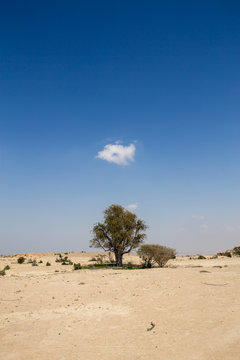 Roof of Qeshm Geosite, Iran