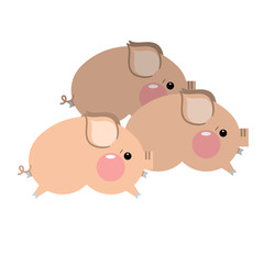 Cute pigs cartoon, vector illustration