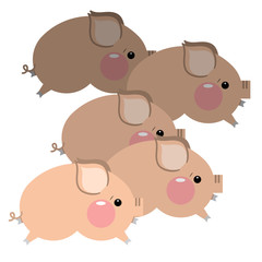 Cute pigs cartoon, vector illustration