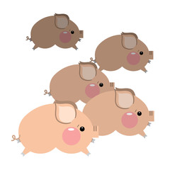 Cute pigs cartoon. Vector illustration