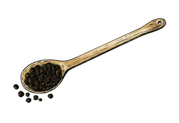 Hand drawn black peppercorn