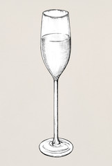 Hand drawn champagne glass