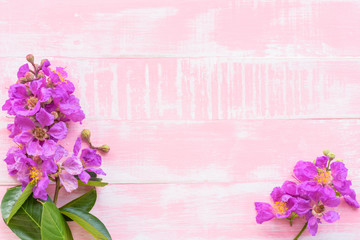 Purple Flowers on a pastel bright pink wooden background. Spring and summer concept.
