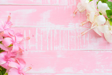 Pink and white Flowers on a pastel bright pink wooden background. Spring and summer concept.