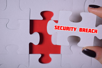 Puzzle with the word:SECURITY BREACH