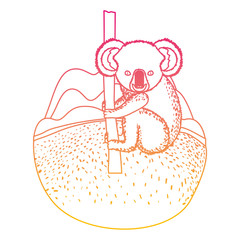 wild koala australian creature hanging in tree