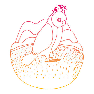 recommend clip art: gang gang cockatoo australian bird in the camp