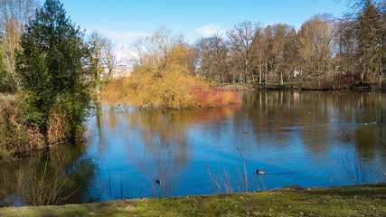 Pond, lake with a colored island of plants