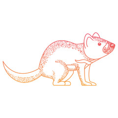 wild tasmanian devil creature