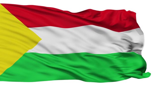 Nilo  flag, city of Colombia, realistic animation isolated on white seamless loop - 10 seconds long (alpha channel is included)