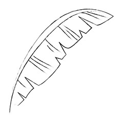 feather bird decorative icon