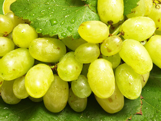 White grape