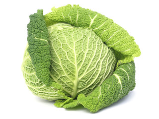 Fresh cabbage