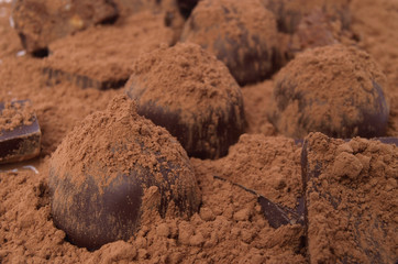  Appetizing truffle