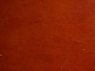 Texture old tree