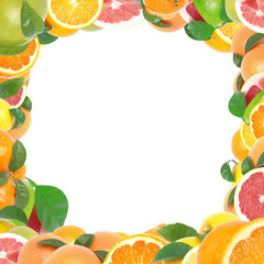 Fresh citrus fruit