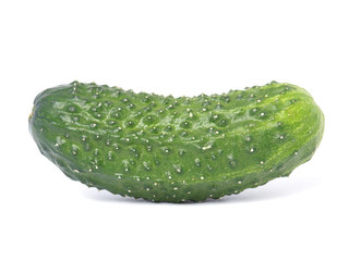 Cucumber