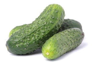 Fresh cucumber