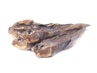  Dried fish bull-calf