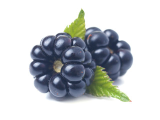 Blackberry fruit