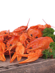 Fresh crayfish