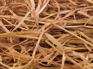  Straw texture