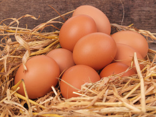 Fresh eggs