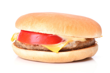 Fresh hamburger