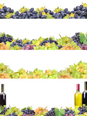 Wine grape