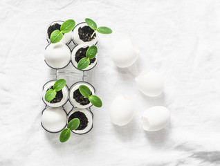 Creative idea of cucumber seedlings in a egg shell on a light background, top view. Gardening vegetables concept