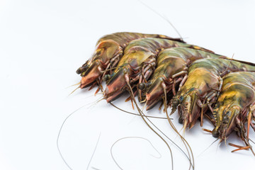 Fresh raw tiger prawn shrimp isolated on white