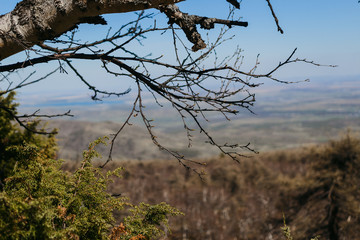 view from the mountains to the forest landscape