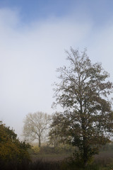 Der Morgen bricht an