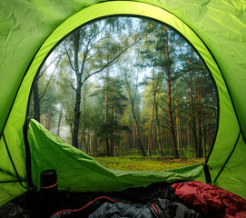 Camping in misty old foggy forest in summer
