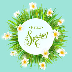 Square banner with daffodils on the corners. Hello spring. Bright yellow banner with bokeh. Vector flower.