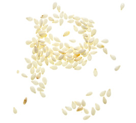 Sesame seeds isolated on white background