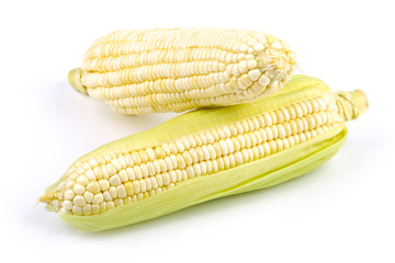Corn Isolated