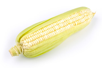 Corn Isolated