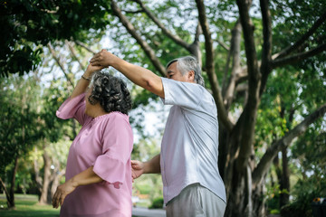 Happy senior couple in the park