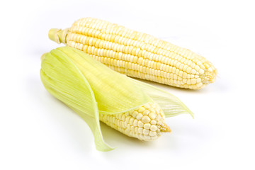 Corn Isolated