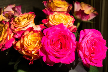 Fototapeta na wymiar Festive bouquet of fresh roses with original yellow and crimson coloration.