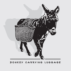 Donkey with carrying luggage - in front view. Cute black and white portrait of farm animal with basket on the back. Vector illustration.