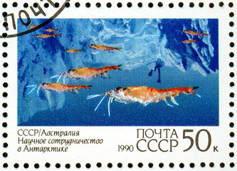 Ukraine - circa 2018: A postage stamp printed in USSR show Krill Research and the inscription USSR-Australian Scietific Cooperation in Antarctica. Series: Joint issue of USSR and Australia. Circa 1990