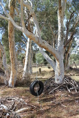 Country NSW Australia outdoor swing