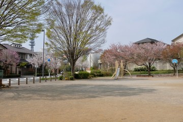 早春の公園